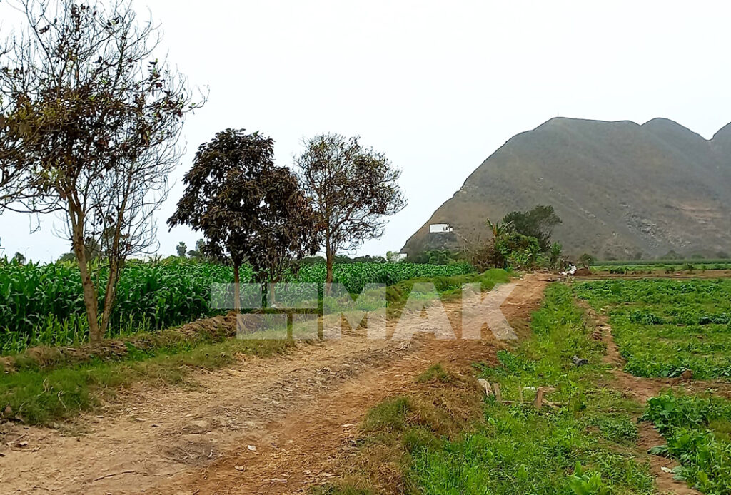 Foto 1 de Terreno agrícola en Venta ubicado en Mala