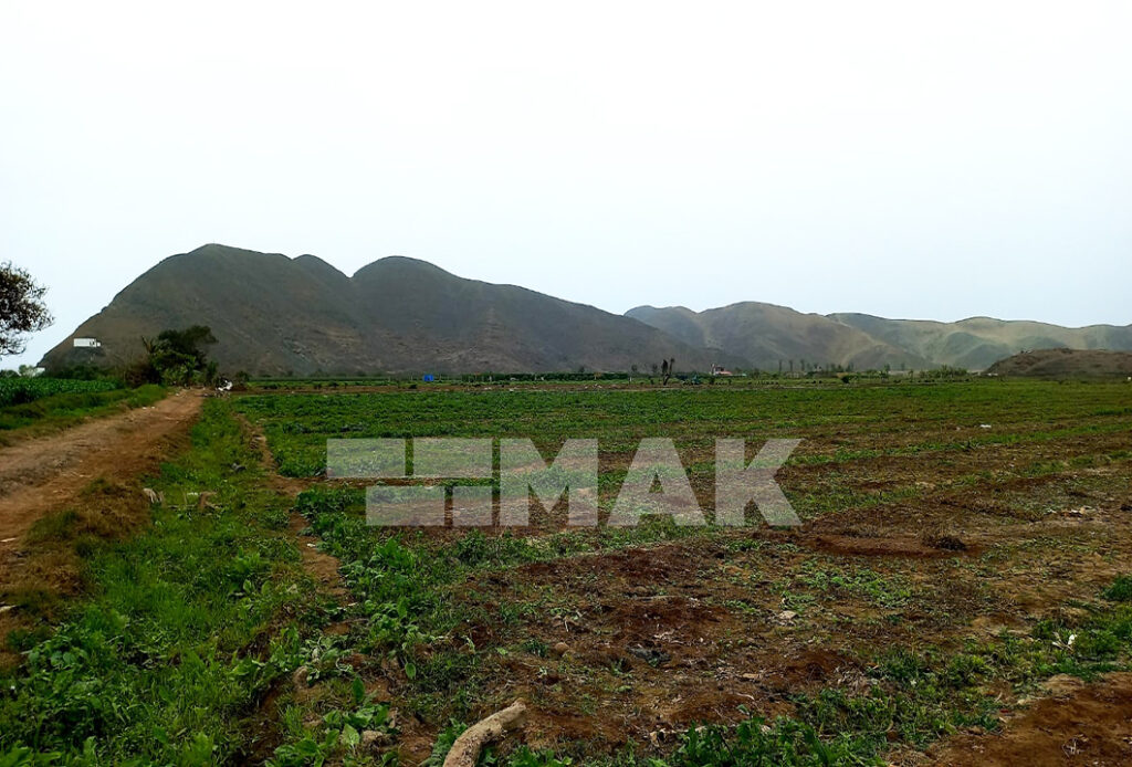 Foto 13 de Terreno agrícola en Venta ubicado en Mala
