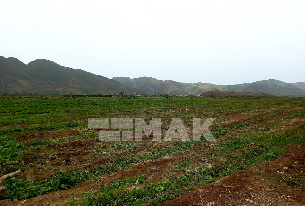 Foto 12 de Terreno agrícola en Venta ubicado en Mala