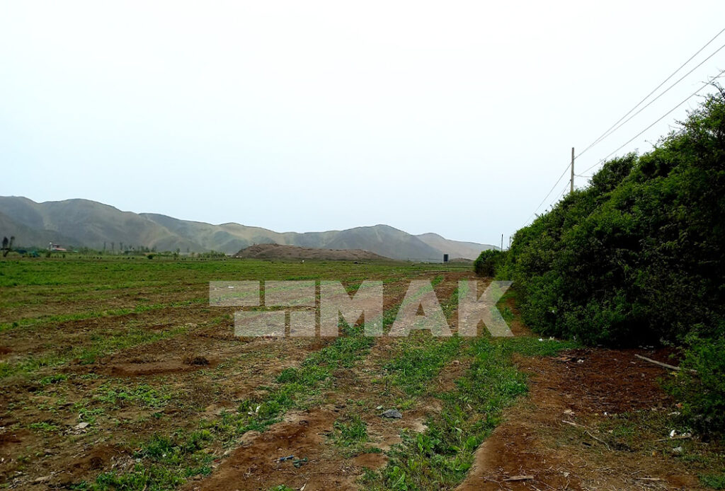 Foto 11 de Terreno agrícola en Venta ubicado en Mala