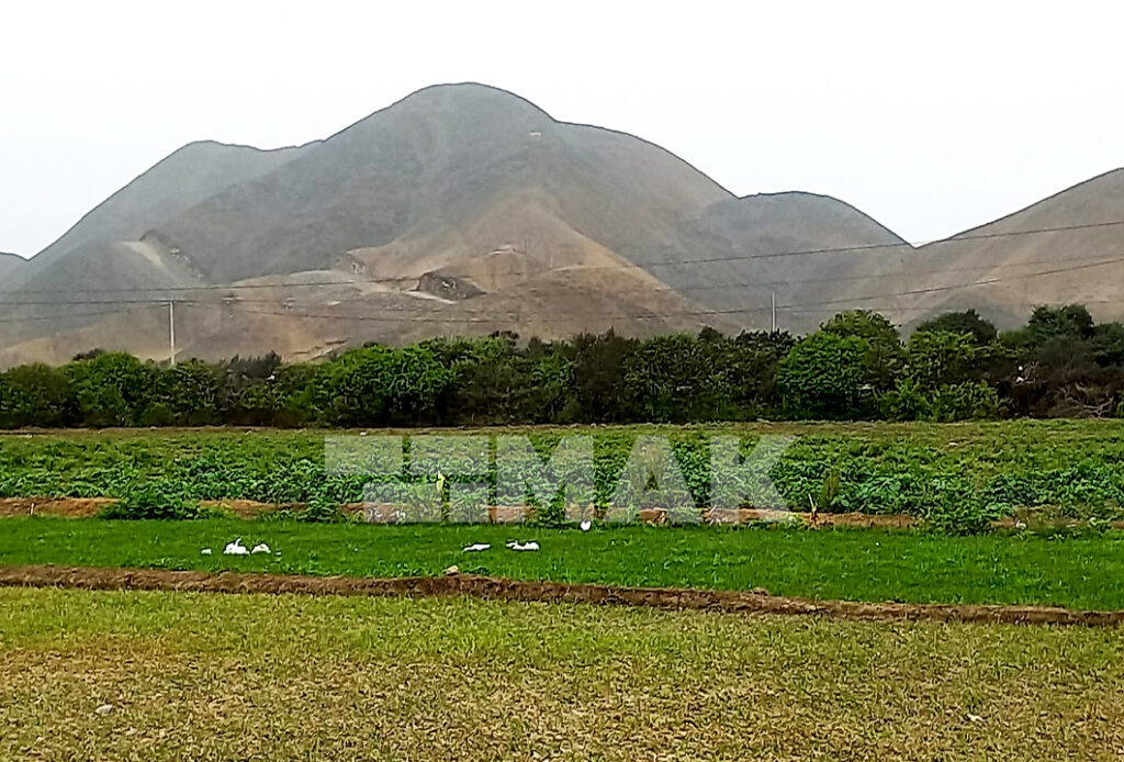 Foto 6 de Terreno agrícola en Venta ubicado en Mala