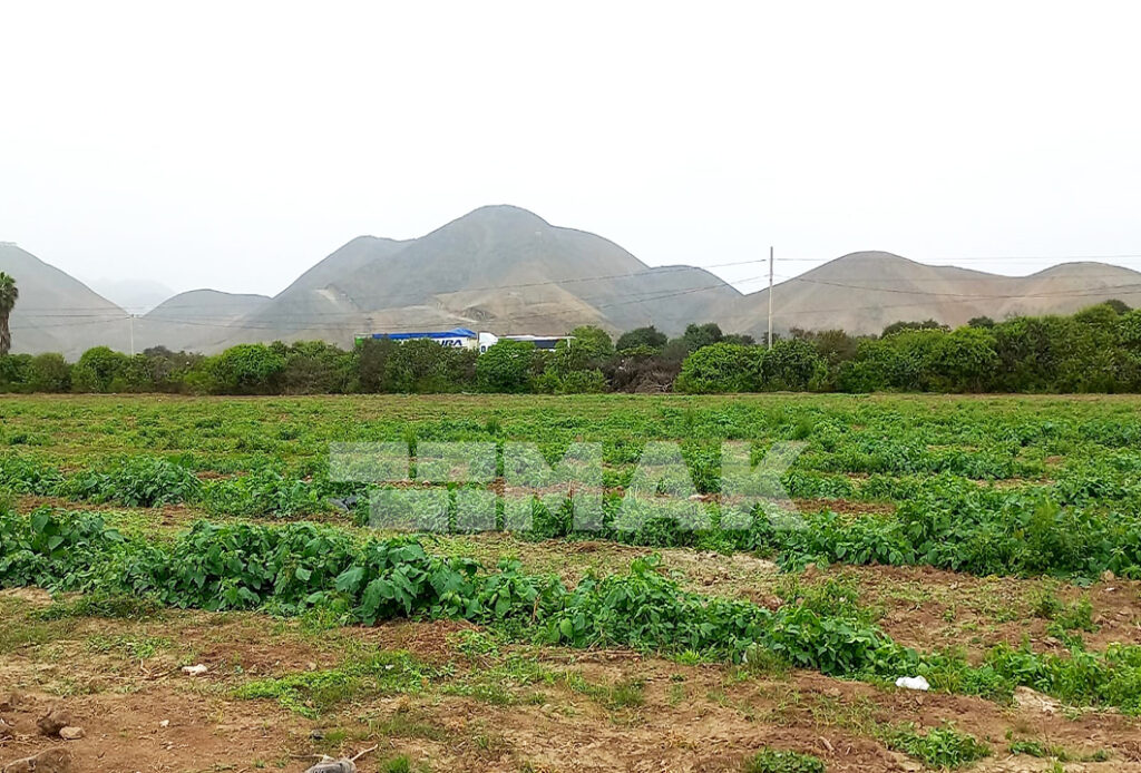 Foto 5 de Terreno agrícola en Venta ubicado en Mala