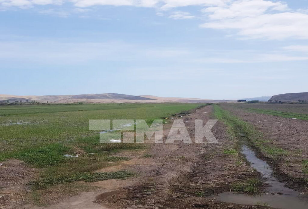 Foto 2 de Terreno agrícola en Venta ubicado en Mala